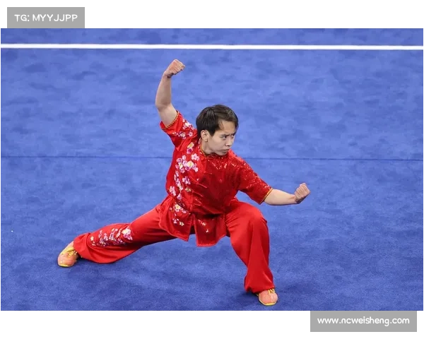 wma中国武术职业联赛比赛