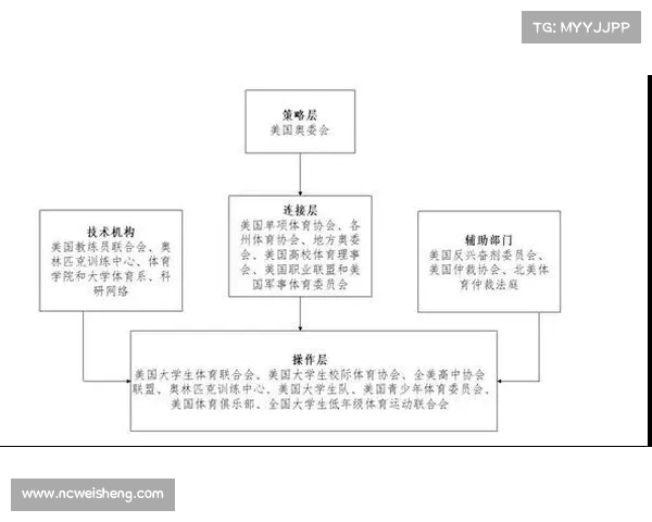 体育赛事的管理主要包括 体育赛事的管理主要包括